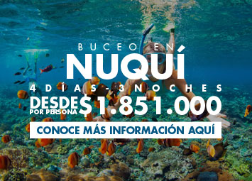 Promociones buceocolombia.com